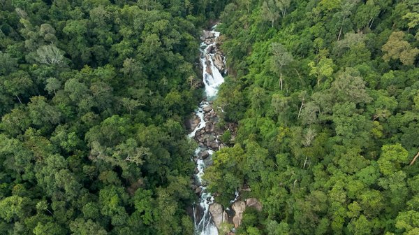 Séjour camping à montpellier : détente et nature en famille