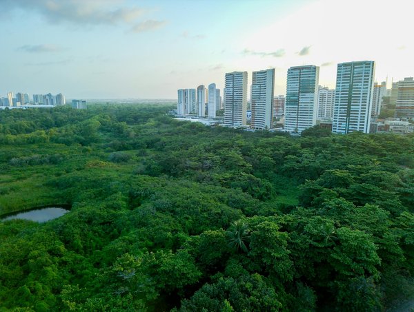 Guide du toilettage pour chat : astuces pour un pelage parfait