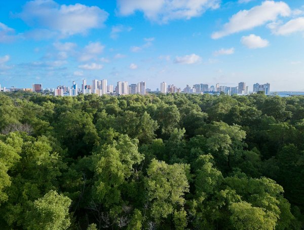 Stratégies essentielles pour réussir dans une carrière en gestion durable des exploitations agricoles