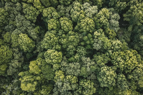 Comment réussir votre production théâtrale en plein air : astuces et recommandations essentielles