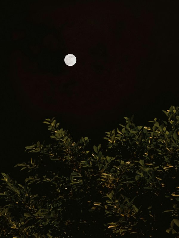 Lune de naissance : recalculer votre personnalité au clair de lune